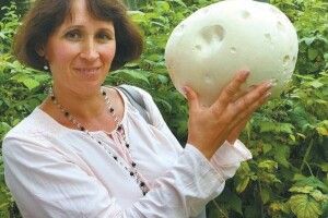 У саду виріс «грибочок» вагою 1,6 кг