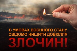  Чи знайдуть підпалювача трави у Підбереззі Луцького району?