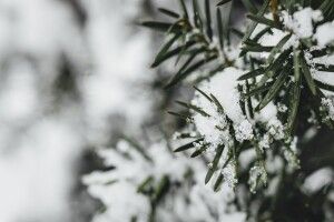 У середу в Україні стане ще тепліше, в чотирьох областях – сніг  