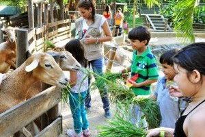 Зоопарк може бути небезпечним!