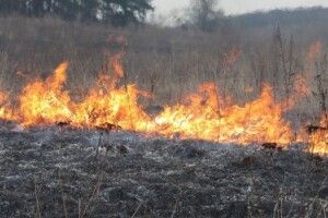 Минулого тижня волинські рятувальники 26 разів виїздили гасити траву