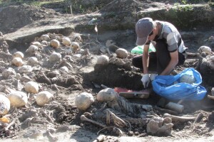 Чи музеєфікують давнє городище у Володимирі-Волинському?