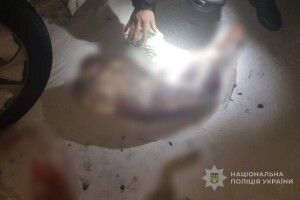 На Волині браконьєр пропонував 200 доларів поліції за вбитих зайця та козу