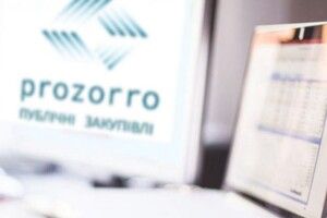 Лучанка, яка надавала еротичні послуги, виграла тендер на антидронові сітки