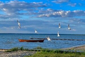 Теплі серпневі дні на Шацьких озерах - фото