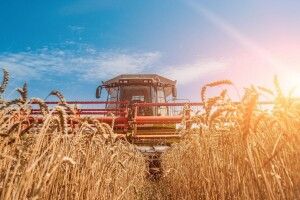 У Луцькому районі триває жнивна кампанія 