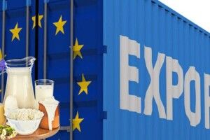 Молоком з Рівненщини будуть смакувати і в країнах Європи