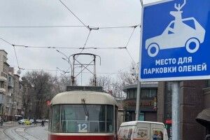 У Харкові з’явилася «парковка для оленів»