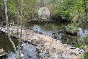 Волинянин вивозив сміття в ... річку