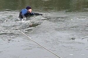 Щоб врятувати лебедя - кинулися в крижану воду (Фото)