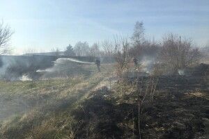На Горохівщині вигоріло півтора гектара сухостою