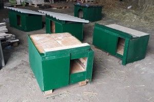 Незабаром луцьким псам «вручать ключі» від п'яти новеньких будок