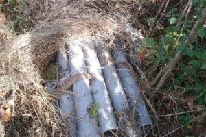 Злапали українських контрабандистів, які проклали цигаркопровід у Румунію