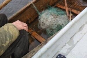 На Ратнівщині затримали двох браконьєрів, які ловили рибу сітками