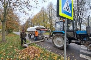 У райцентрі на Волині є порохотяг – усім порохотягам порохотяг! (Фото)