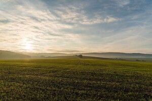 На Волині прокурори не дають відібрати землю у державного підприємства