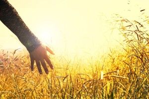 Спека в серпні різко піде на спад, але восени буде два бабиних літа: прогноз синоптика