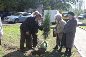 На честь людей поважного віку в одному зі скверів Луцька висадили дерева
