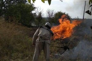 Рятувальники мали роботу: вогонь підступав до Ківерцівського лісу