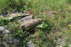 На Волині селянин на власному обійсті серед шиферу знайшов снаряд