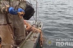 Браконьєри натягали червонокнижної риби та крабів на понад мільйон гривень (Фото)