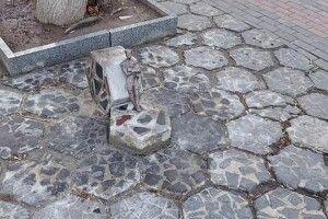 В Луцьку буде два нових кликуни (Фото)