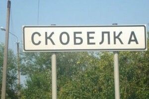 Як на Горохівщині провчили чоловіка, який вперто пас корів на стадіоні