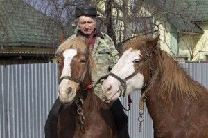 «Коні добре розуміють людину»: історія волинянина та його вірних помічників – Каштана і Білика (Відео)