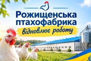 У Луцькому районі знову запрацює птахофабрика