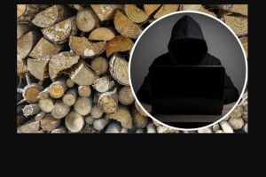 Шахрай залишив без дров і грошей чергову довірливу волинянку