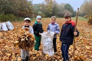 В селищі Рокині Луцького району пройшла толока під гаслом «Свій парк — своїми руками»