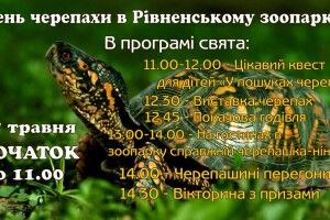 Цієї неділі в Рівному відбудуться черепашині перегони
