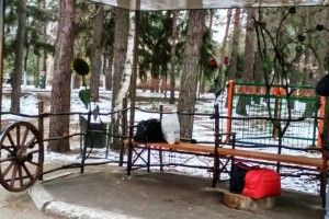 У волинському санаторії з’явилась чудо-зупинка