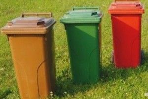 Лучани з приватного сектора підкидають своє сміття іншим