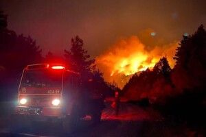 У Туреччині звітують про взяття під контроль більшості лісових пожеж