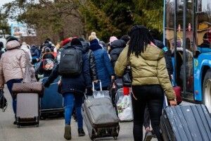 Британія надала статистику: скільки українських біженців вже знайшли роботу