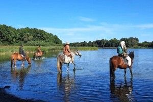 Від Київського моря до Шацьких озер: 5 вершників вирушили у кінний похід (Фото)