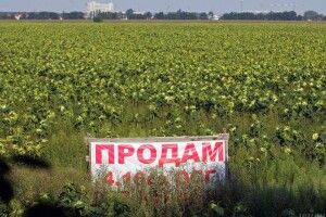 Рада ухвалила закон про введення ринку землі з липня 2021 року