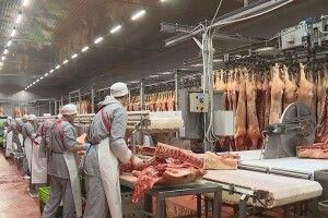 Спалах COVID-19 на м'ясокомбінаті в Німеччині: тестування виявило вірус у понад тисячі працівників