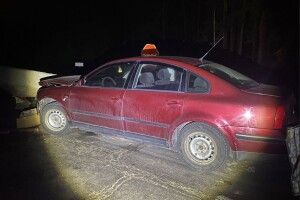 На Ковельщині в аварії постраждала 7-річна дівчинка