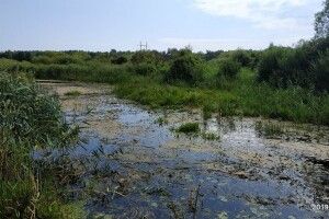 Турія заростає і міліє, а Воронку очистили