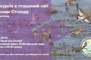 Позавтрому волинян закликали прокинутися до схід сонця і податися у бьордвочери
