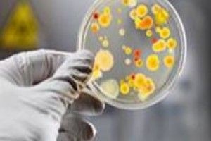ПОВІНЬ: БЕРЕЖІТЬСЯ ІНФЕКЦІЙ
