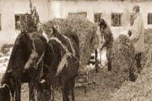 ДОКИ ДІЛКИ ОБКРАДАТИМУТЬ СЕЛЯН