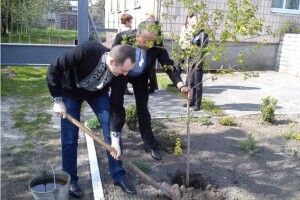 На Ківерцівщині чиновники висадили кущі калини