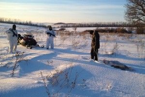 Українець тягнув на санях до Росії центнер контрабандної телятини (фото)