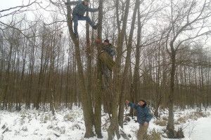 На Волині обстежили та відремонтували гоголятники (фото)
