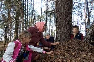 Бихівські юннати вивчали життя мурах (фото)