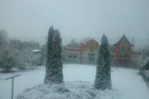 Над Слобожанщиною вже кружляють білі мухи (фото)