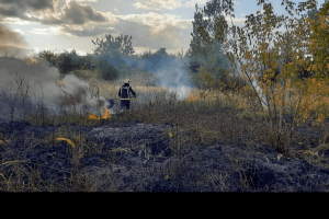 В обласному центрі Волині невідомі підпалили суху траву на чималій території